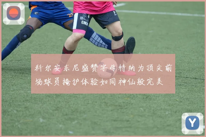 科尔安东尼盛赞字母特纳为顶尖前场球员掩护体验如同神仙般完美