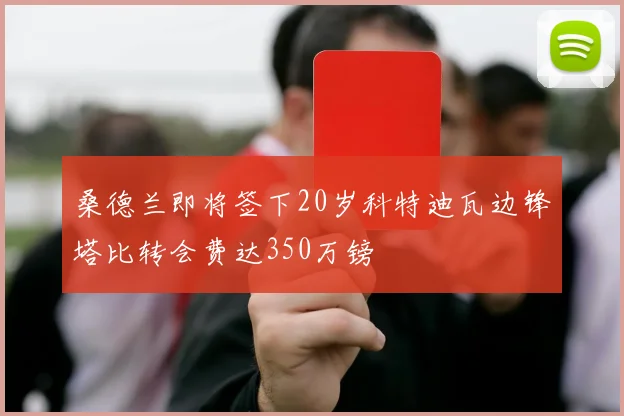 桑德兰即将签下20岁科特迪瓦边锋塔比转会费达350万镑