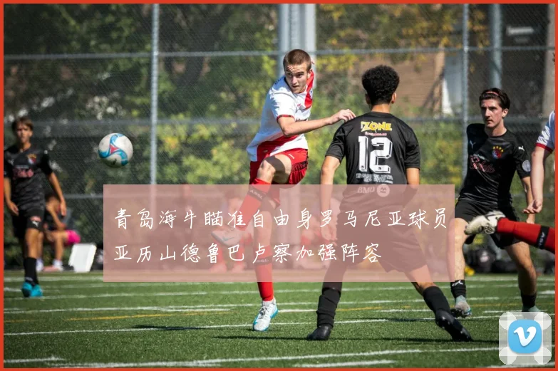 青岛海牛瞄准自由身罗马尼亚球员亚历山德鲁巴卢察加强阵容